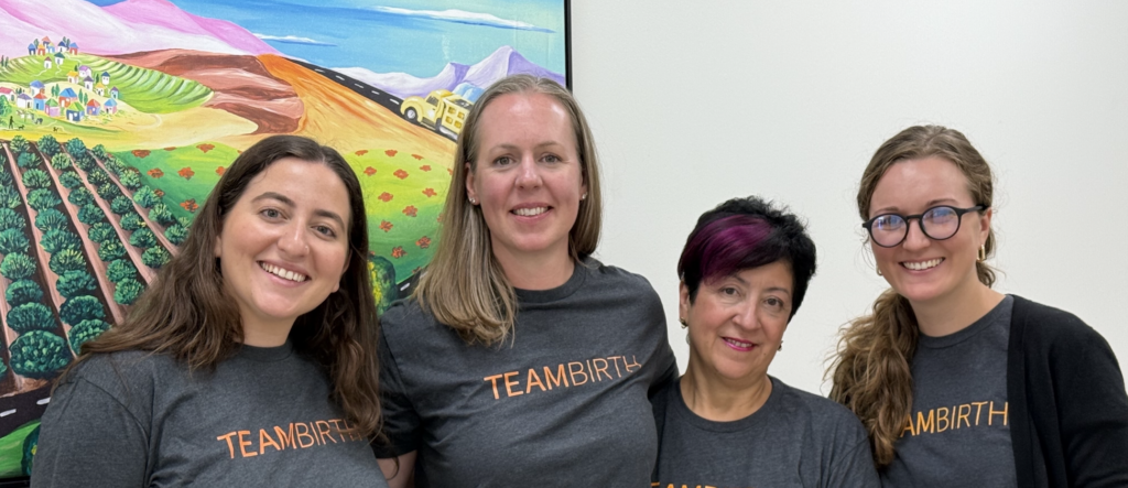 Teambirth TEAMBIRTH - Ariadne Labs